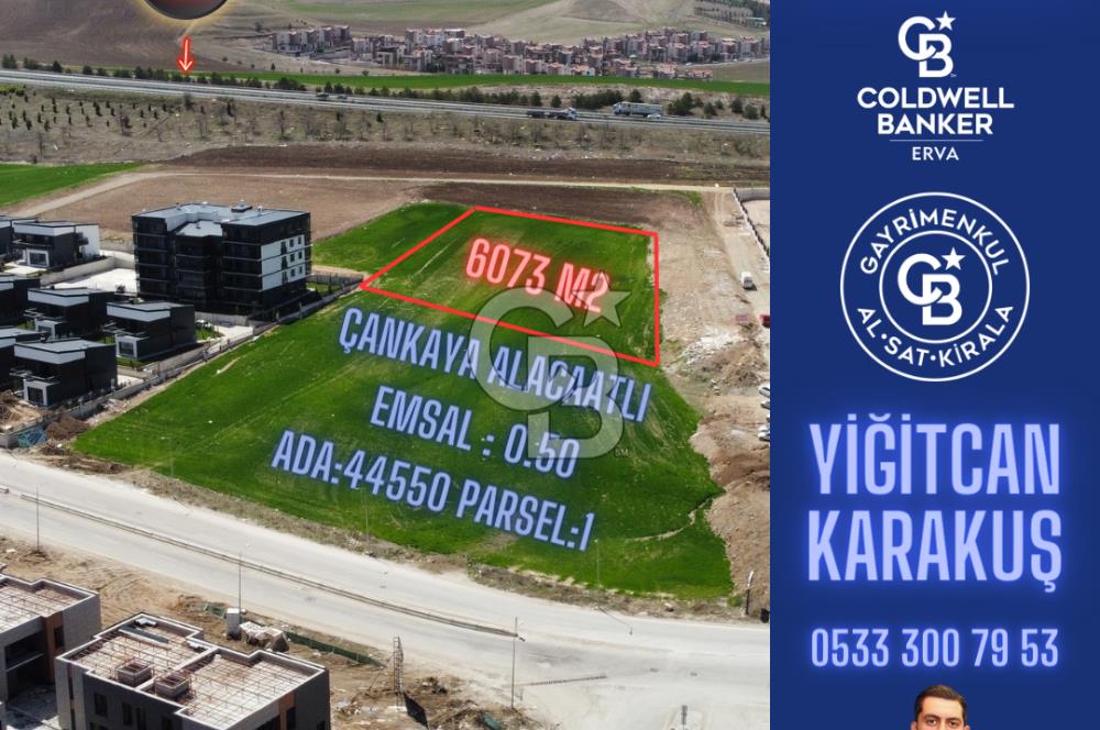 ALACAATLI'DA 6073 M2 0.50 İMARLI SATILIK ARSA