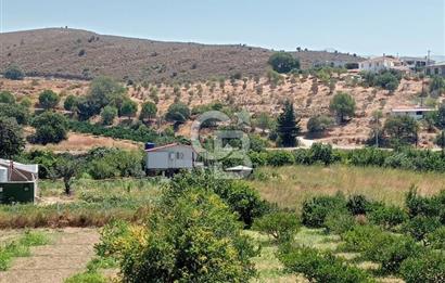 Karaburun Badembükü'nde 953 m2 Fırsat Tarla