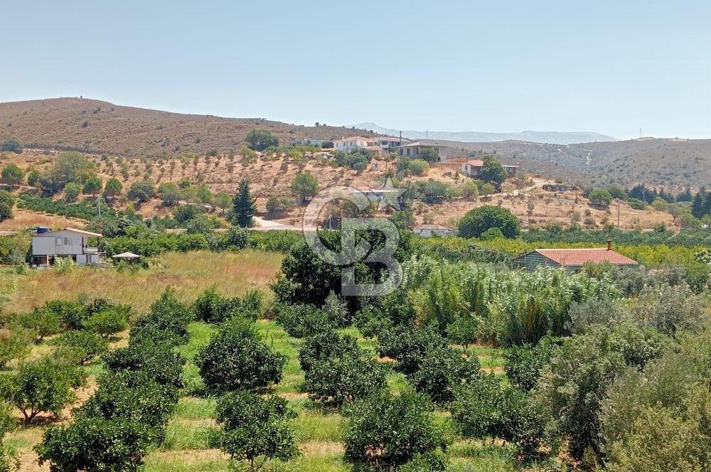 Karaburun Badembükü'nde 953 m2 Fırsat Tarla