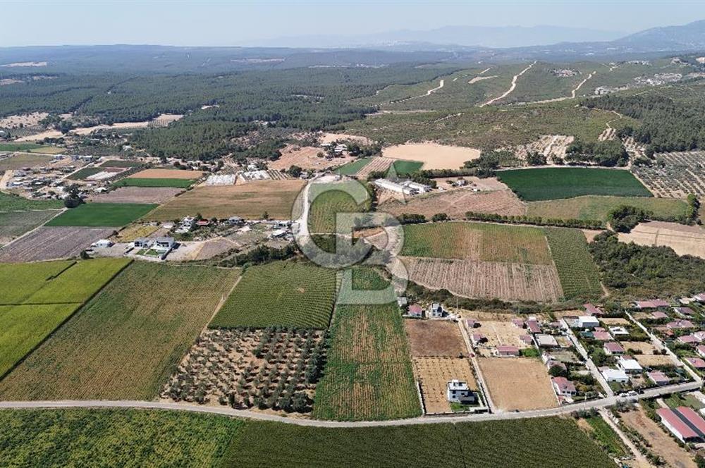 İzmir / Buca Karacaağaç Köyünde Satılık Hisseli Tarla