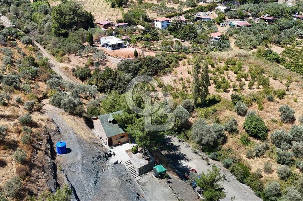 Kemalpaşa Armutlu’da Dağ Evi ve Arsası