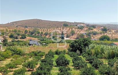 Karaburun Badembükü'nde 953 m2 Fırsat Tarla