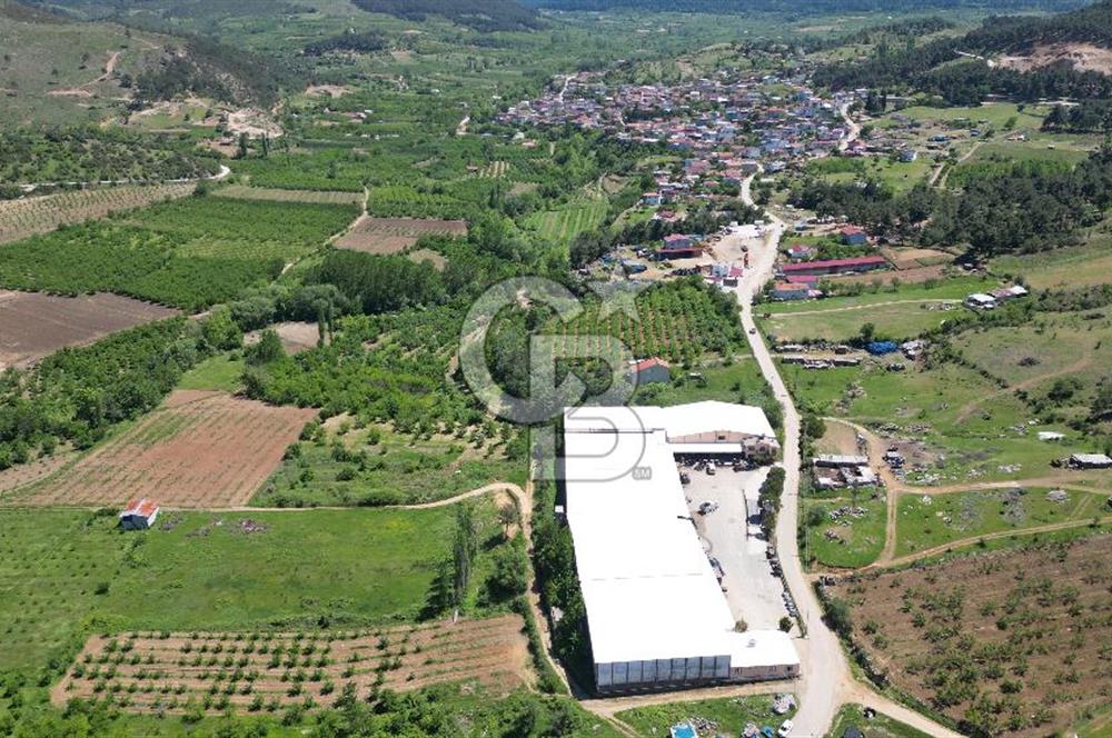 ÇANAKKALE BAYRAMİÇ EVCİLER KÖYÜ'NDE 500m²﻿ FIRSAT SATILIK ARAZİ