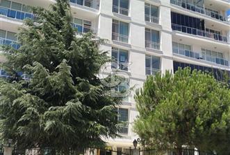 Çerkezköy Tepe Bölgesi Forest City 'de Kiralık 1+1 Daire