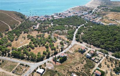 Ayvalık Badavut Geniş Bahçeli Bölgede Eşsiz 5 Odalı Villa