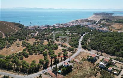 Ayvalık Badavut Geniş Bahçeli Bölgede Eşsiz 5 Odalı Villa