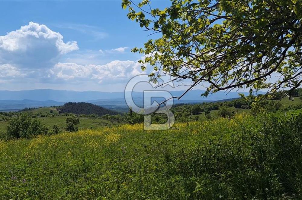 Tapuya işlenmiş içerisinde yığma taş dam olan satılık arazi