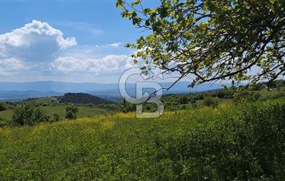 Tapuya işlenmiş içerisinde yığma taş dam olan satılık arazi