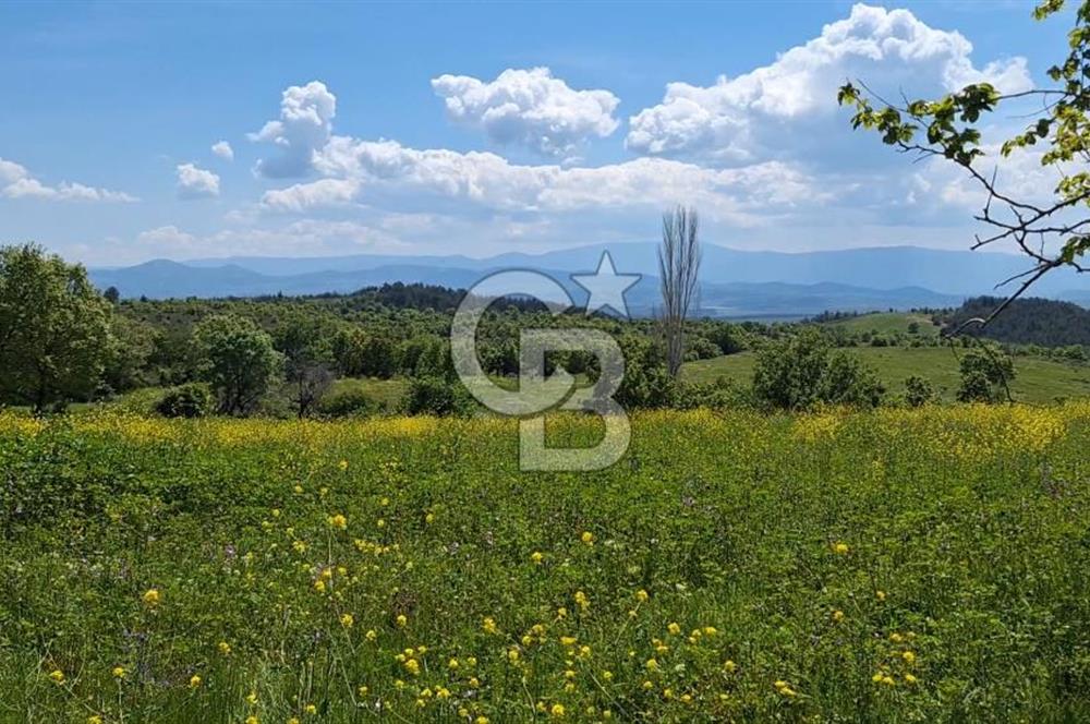 Tapuya işlenmiş içerisinde yığma taş dam olan satılık arazi