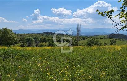 Tapuya işlenmiş içerisinde yığma taş dam olan satılık arazi