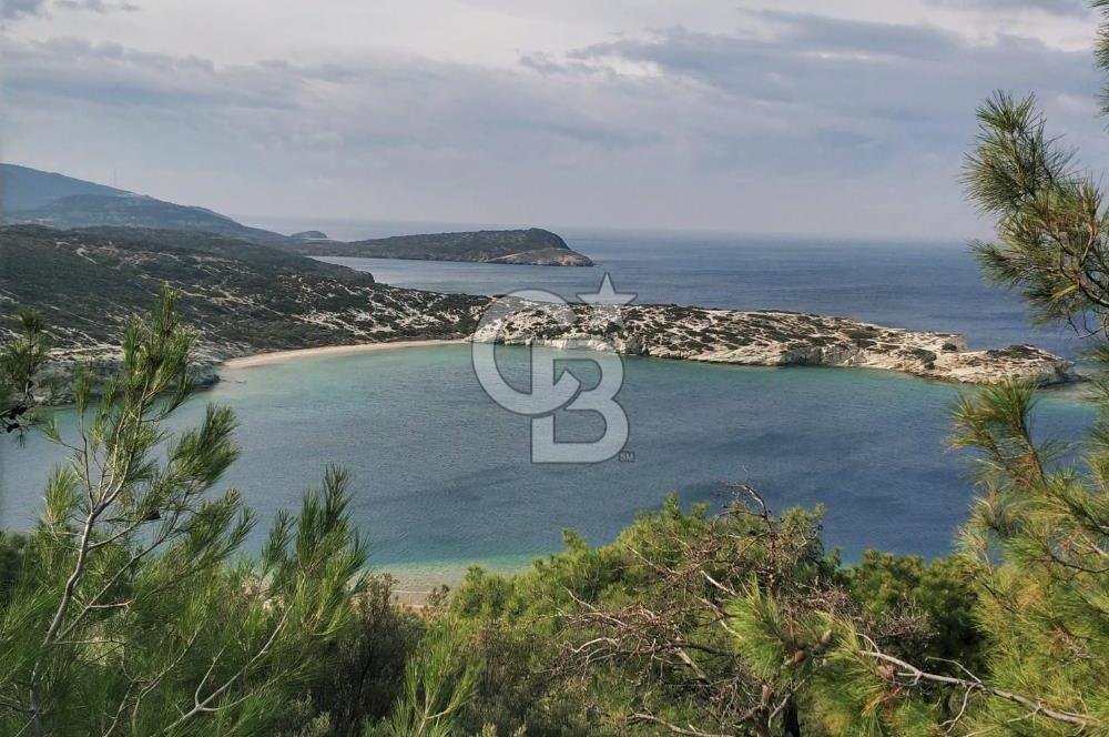 Foça/Sazlıca'da Bölgenin En Büyük Villa İmarlı Satılık Arsası