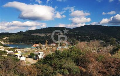 Foça/Sazlıca'da Bölgenin En Büyük Villa İmarlı Satılık Arsası