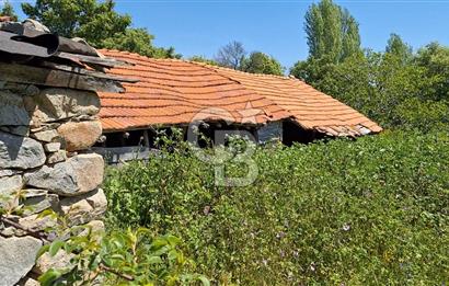 Tapuya işlenmiş içerisinde yığma taş dam olan satılık arazi