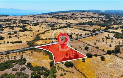 Çanakkale Ayvacık Balabanlı da 4.192 m2 Yola Cephe Satılık Tarla