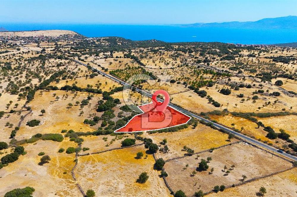 Çanakkale Ayvacık Balabanlı da 5.098 m2 Yola Cephe Satılık Tarla