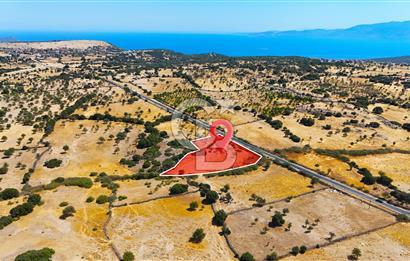 Çanakkale Ayvacık Balabanlı da 5.098 m2 Yola Cephe Satılık Tarla