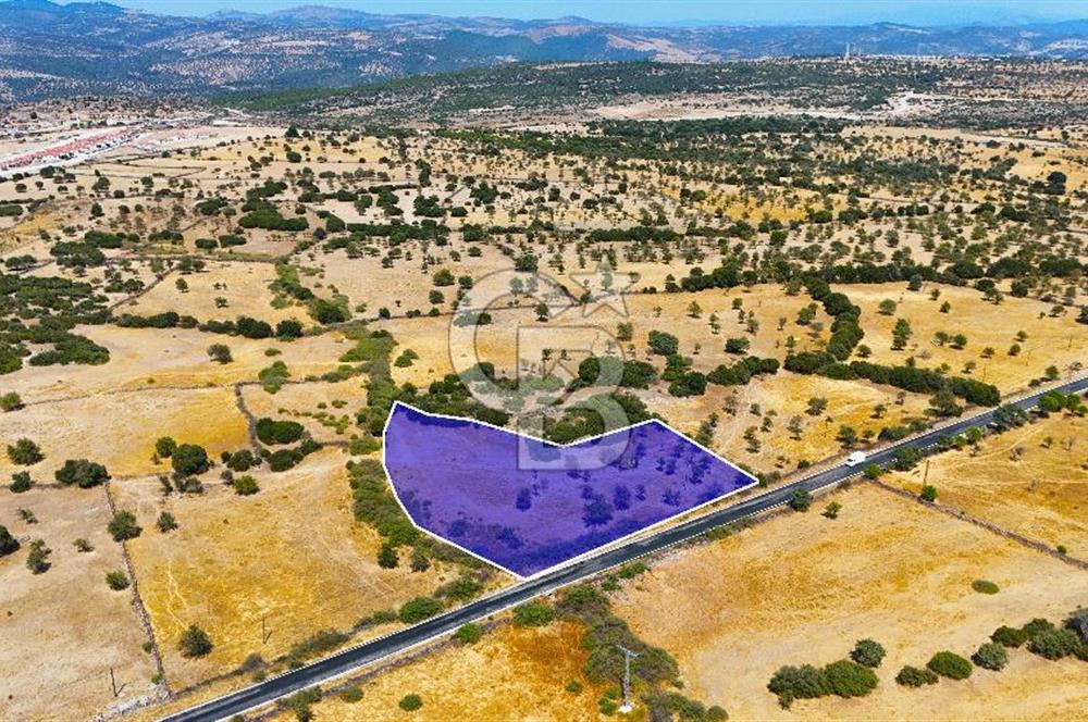 Çanakkale Ayvacık Balabanlı da 5.098 m2 Yola Cephe Satılık Tarla