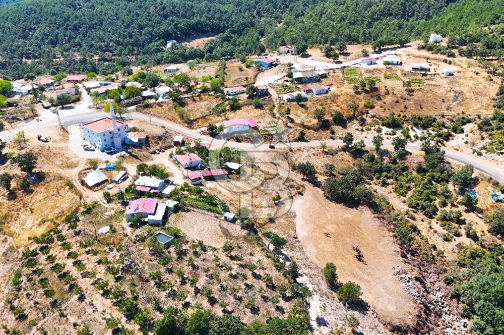 Çanakkale Lapseki Üçpınar da 1.146 m2 Köyiçi İmarlı Arsa