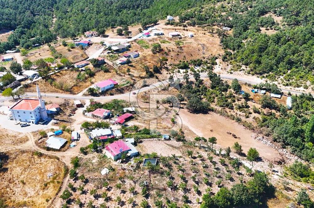 Çanakkale Lapseki Üçpınar da 1.146 m2 Köyiçi İmarlı Arsa