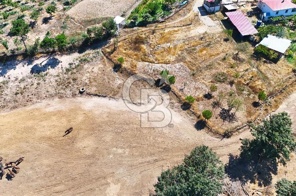 Çanakkale Lapseki Üçpınar da 1.146 m2 Köyiçi İmarlı Arsa