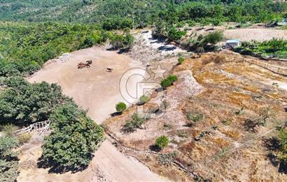 Çanakkale Lapseki Üçpınar da 1.146 m2 Köyiçi İmarlı Arsa