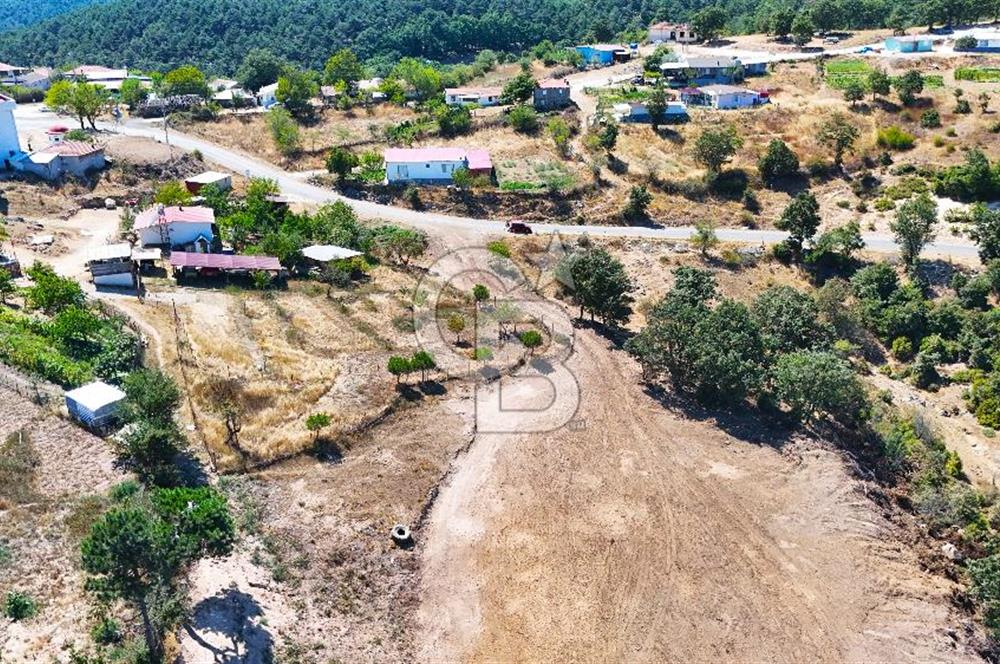 Çanakkale Lapseki Üçpınar da 1.146 m2 Köyiçi İmarlı Arsa