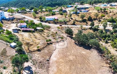 Çanakkale Lapseki Üçpınar da 1.146 m2 Köyiçi İmarlı Arsa