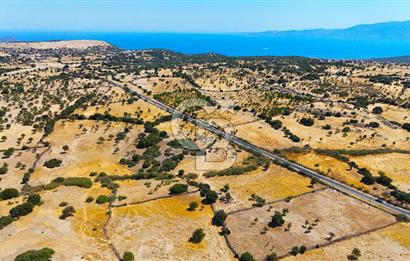 Çanakkale Ayvacık Balabanlı da 4.192 m2 Yola Cephe Satılık Tarla