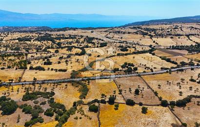 Çanakkale Ayvacık Balabanlı da 4.192 m2 Yola Cephe Satılık Tarla