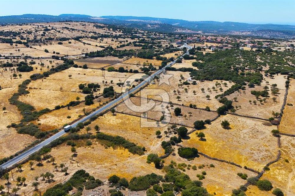 Çanakkale Ayvacık Balabanlı da 4.192 m2 Yola Cephe Satılık Tarla