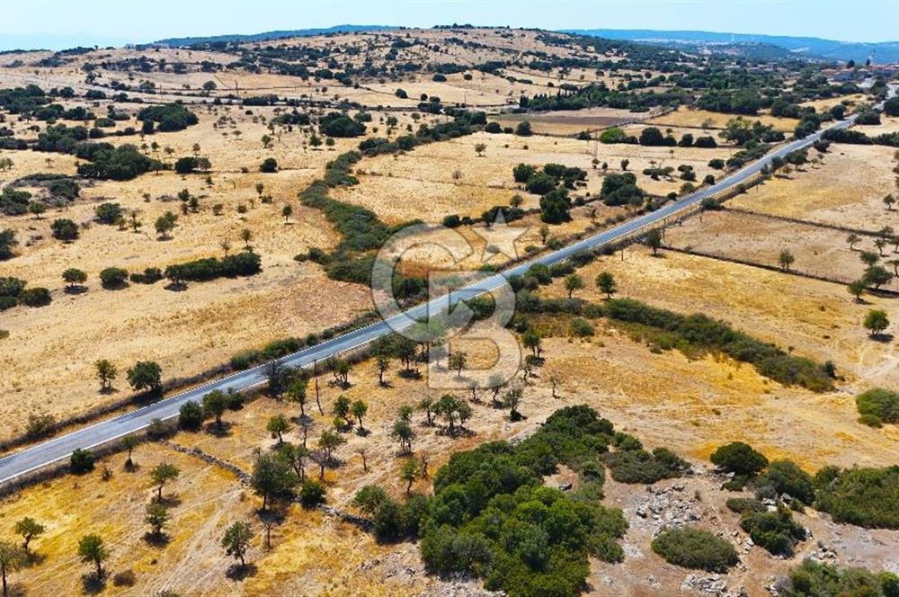 Çanakkale Ayvacık Balabanlı da 5.098 m2 Yola Cephe Satılık Tarla