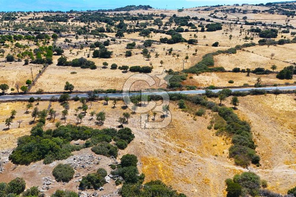 Çanakkale Ayvacık Balabanlı da 5.098 m2 Yola Cephe Satılık Tarla