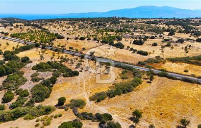 Çanakkale Ayvacık Balabanlı da 5.098 m2 Yola Cephe Satılık Tarla