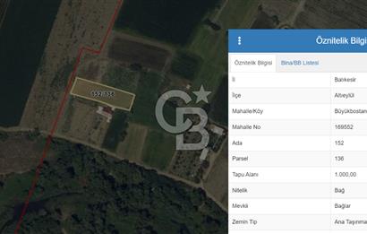 CB KİNG DEN BÜYÜKBOSTANCI MAH.SATILIK BAĞ-BAHÇE