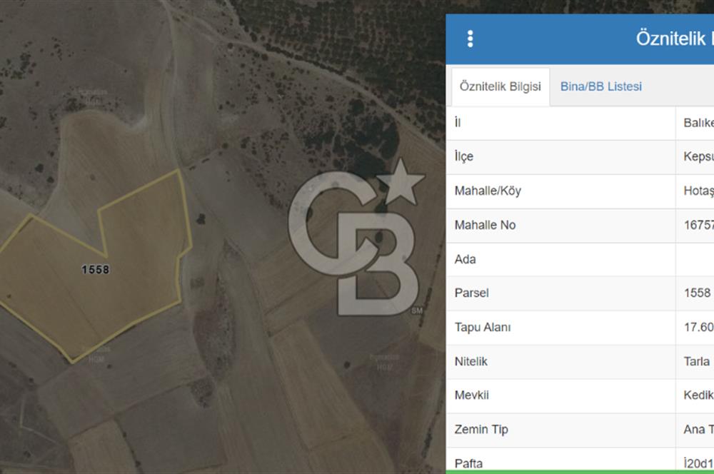 CB KİNG DEN KEPSUT HOTAŞLAR MAH 13 DÖNÜM SATILIK TARLA