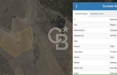 CB KİNG DEN KEPSUT HOTAŞLAR MAH 13 DÖNÜM SATILIK TARLA