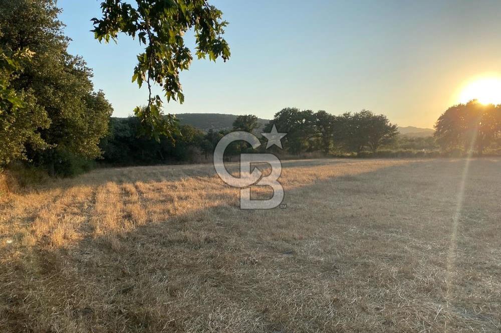 ÇANAKKALE EZİNE BOZELİ KÖYÜ TARIMA ELVERİŞLİ SATILIK TARLA