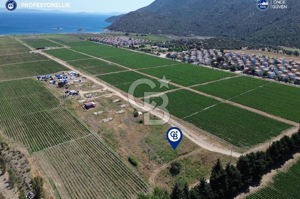 Karaburun Küçükbahçe Karareis'te 15/30 Konut İmarlı Arsa