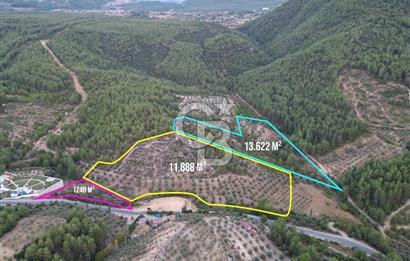 Muğla Menteşe Kafaca da Satılık Ticari  Arsa