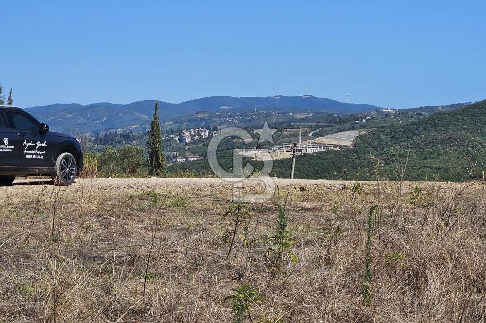 Yalova Altınova Kaytazderede Deniz Manzaralı Satılık 916 m2 Arsa