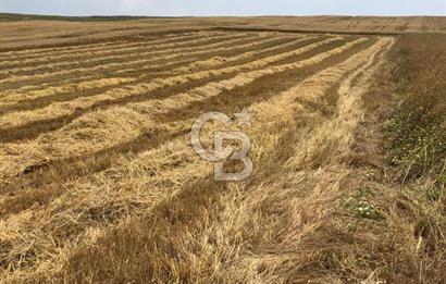 Büyükçekmece Celaliye Mh.Deniz Manzaralı İmar Yakını 5000m2Tarla