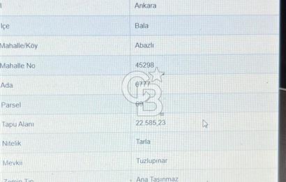 BALA ABAZLI'DA TEK TAPU TARLA