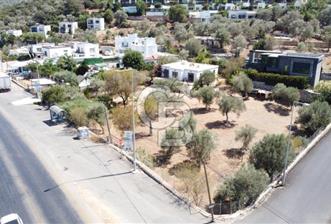 Bodrum Torba Satılık Arazi ve Müstakil Ev