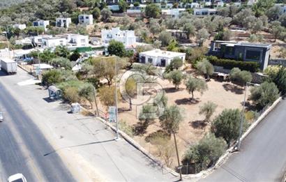 Bodrum Torba Satılık Arazi ve Müstakil Ev