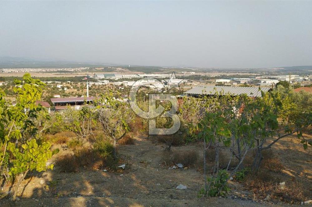 Menderes Görece'de Satılık 2178 m2 Bahçe ve İçerisinde Bağ Evi