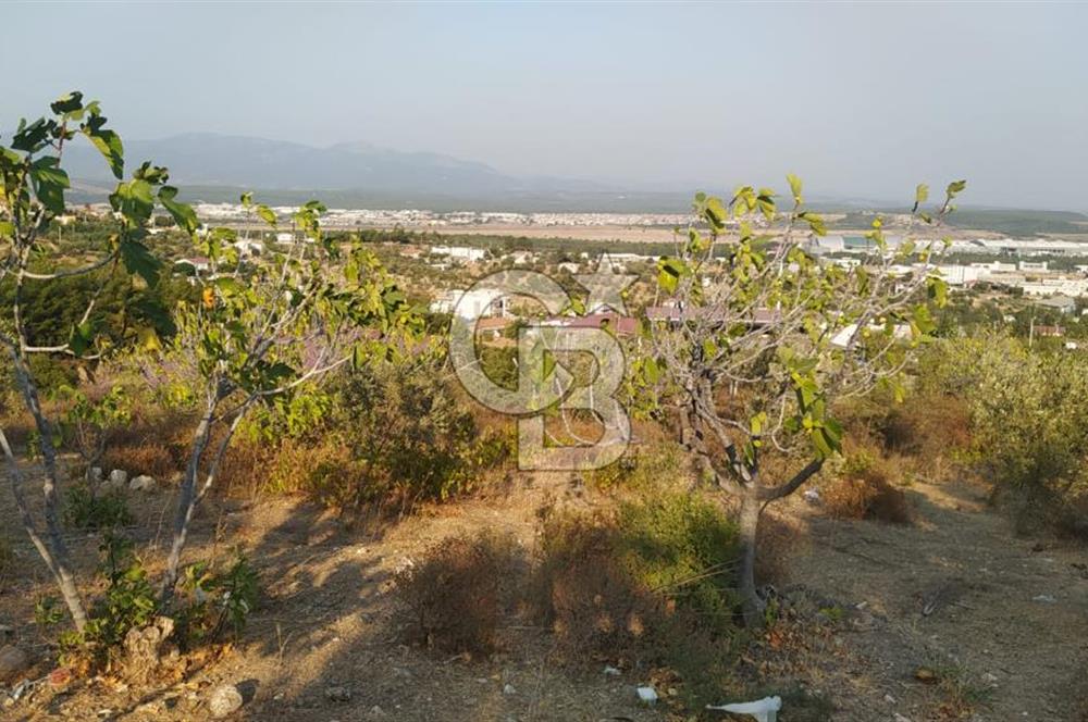 Menderes Görece'de Satılık 2178 m2 Bahçe ve İçerisinde Bağ Evi