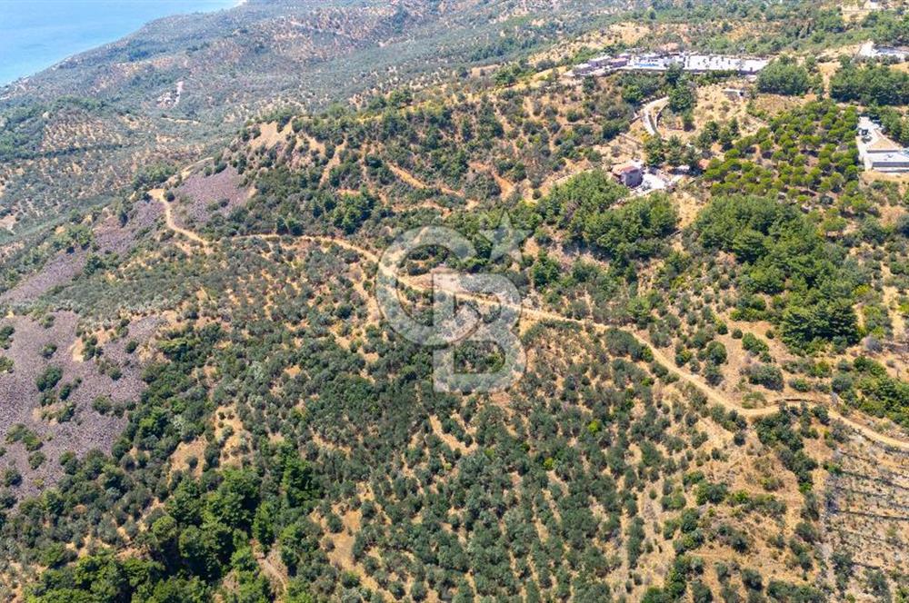 AHMETÇEDE OTELLER BÖLGESİNDE DENİZ MANZARALI YATIRIMLIK ARAZİ