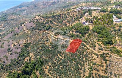 AHMETÇEDE OTELLER BÖLGESİNDE DENİZ MANZARALI YATIRIMLIK ARAZİ