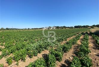 ÇANAKKALE YENİCE KURTLAR KÖYÜ'NDE YATIRIM FIRSATI SATILIK TARLA