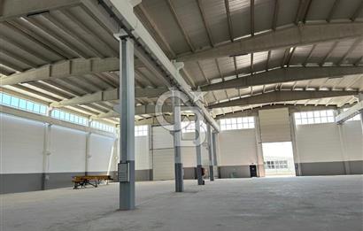 FACTORY FOR SALE IN TEMELLI-MALIKOY BASKENT OSB